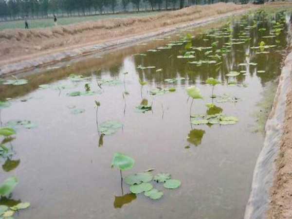 藕池養殖防滲膜
